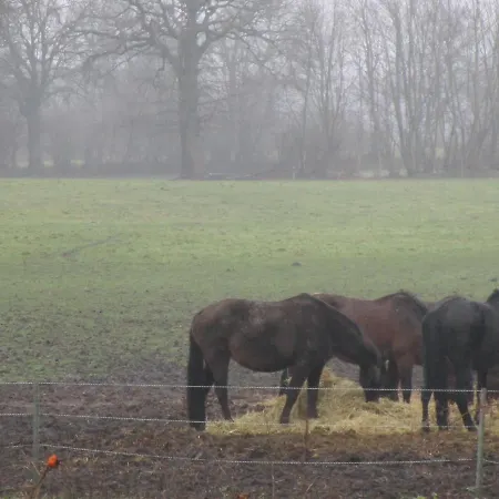 Landhaus 3* Hammoor