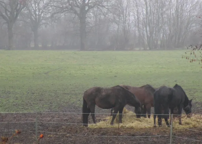 Stieper Gastronomie Gmbh 3* Hammoor